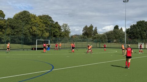 Artificial pitch, relaid 2019
